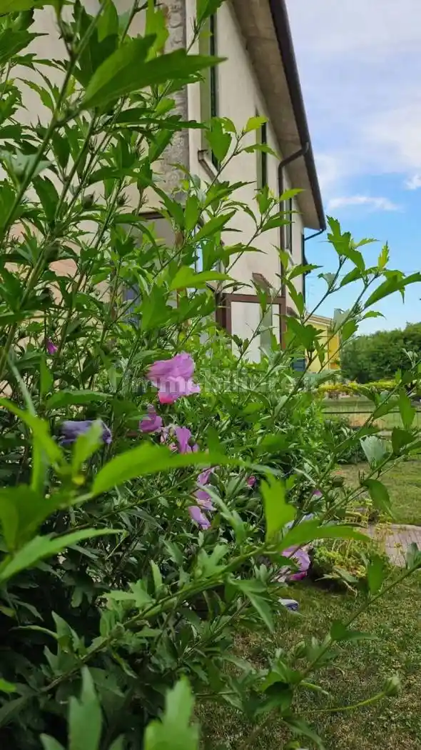 Villa in vendita a Roncade