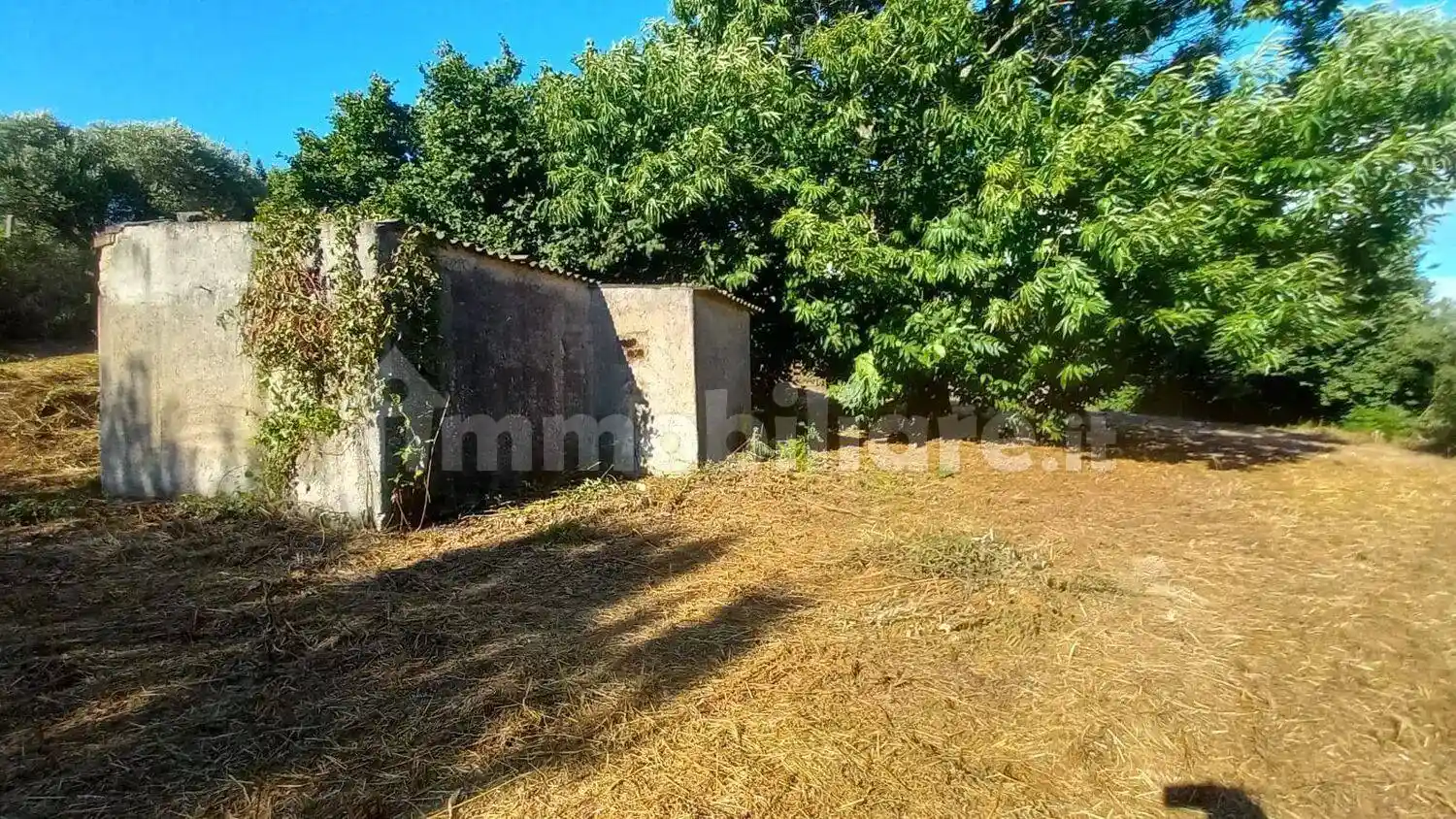 Rustico - Casale in vendita a Palestrina