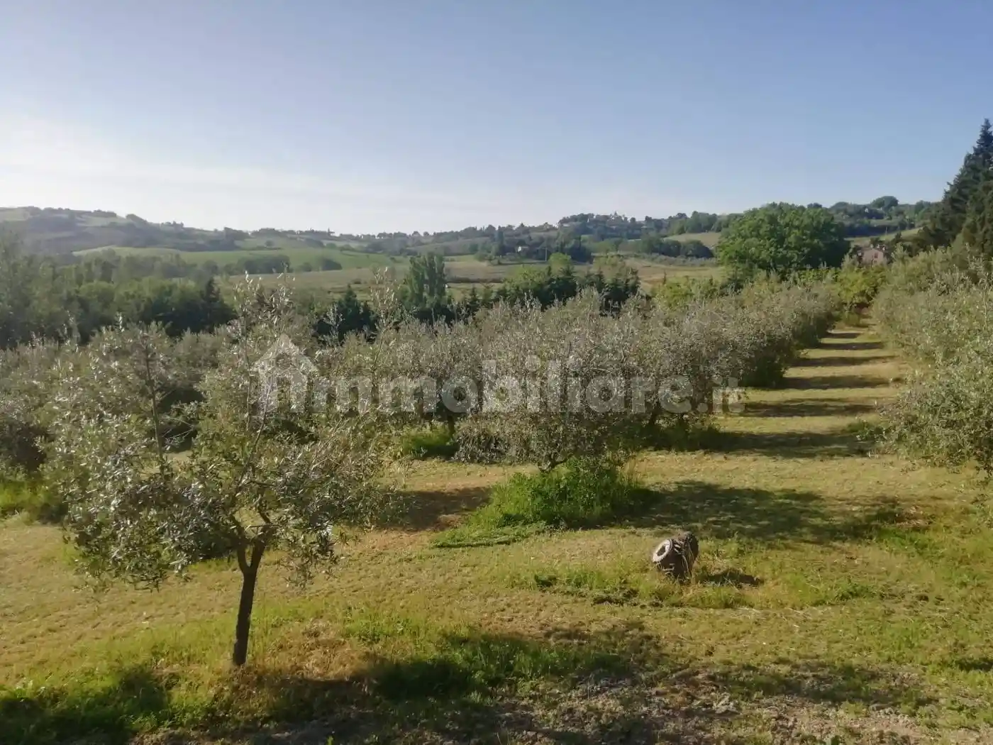 Casale, ottimo stato, 315 m², Santa Maria dell'Arzilla, Pesaro - foto 4