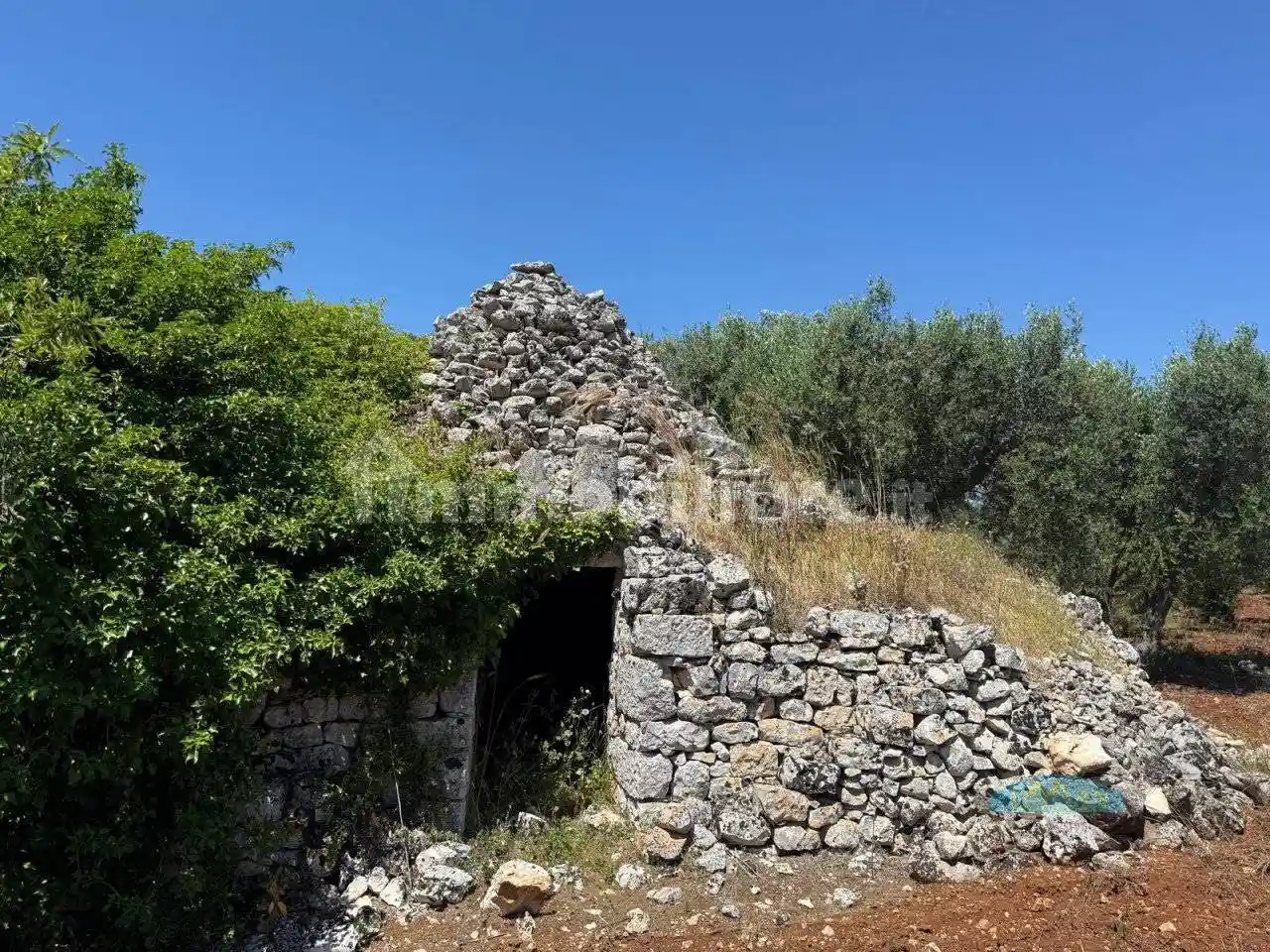 Rustico - Casale in vendita a Ceglie Messapica