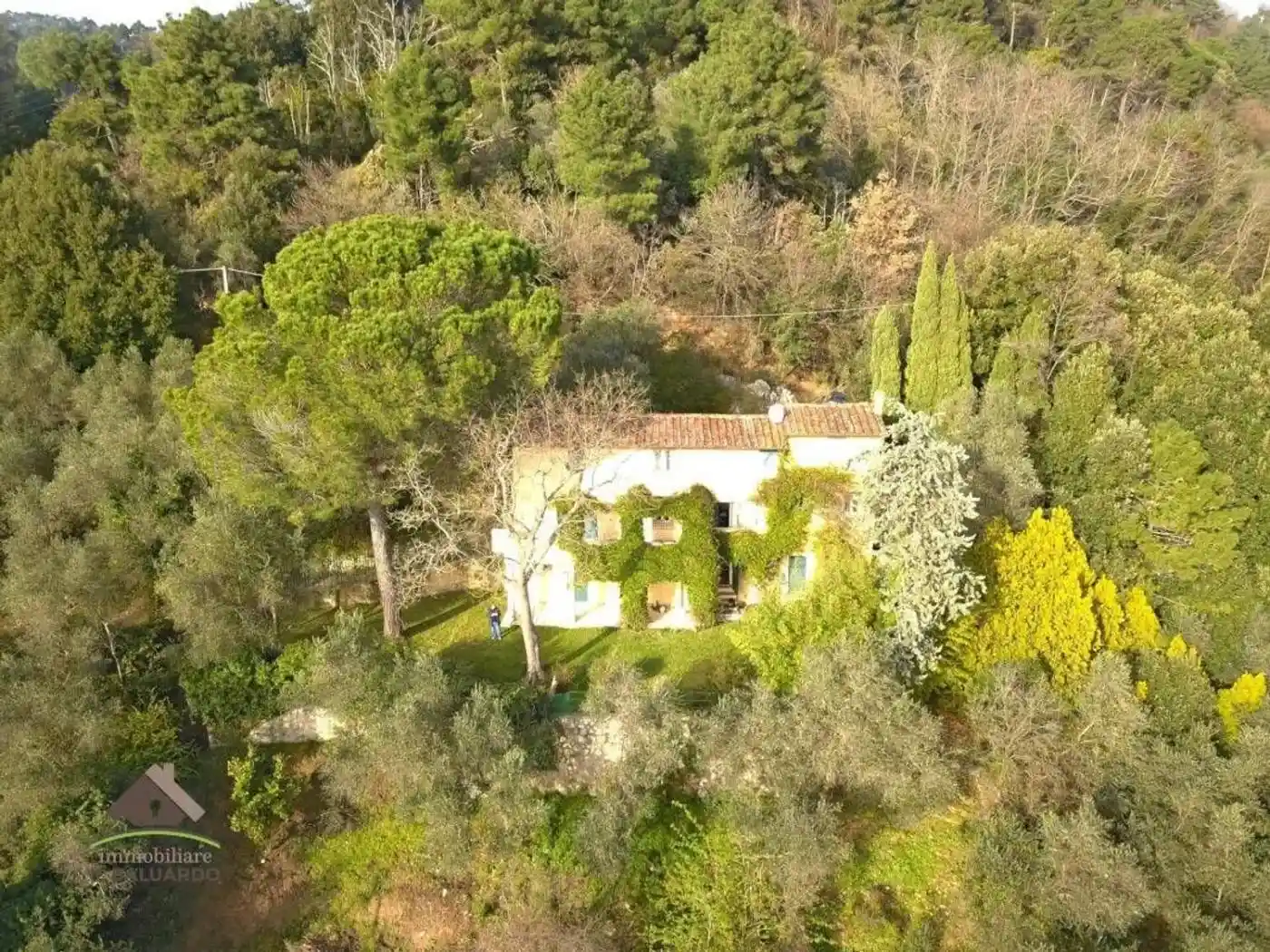 Cascina Chiatri, Chiatri - Piazzano, Lucca - foto 3