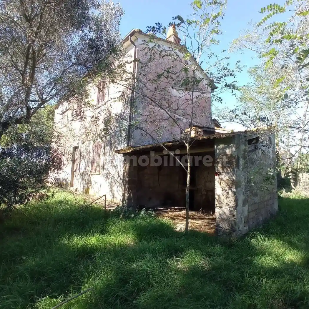 Casale Località Pratoleva 3, Teverina, Viterbo - foto 4