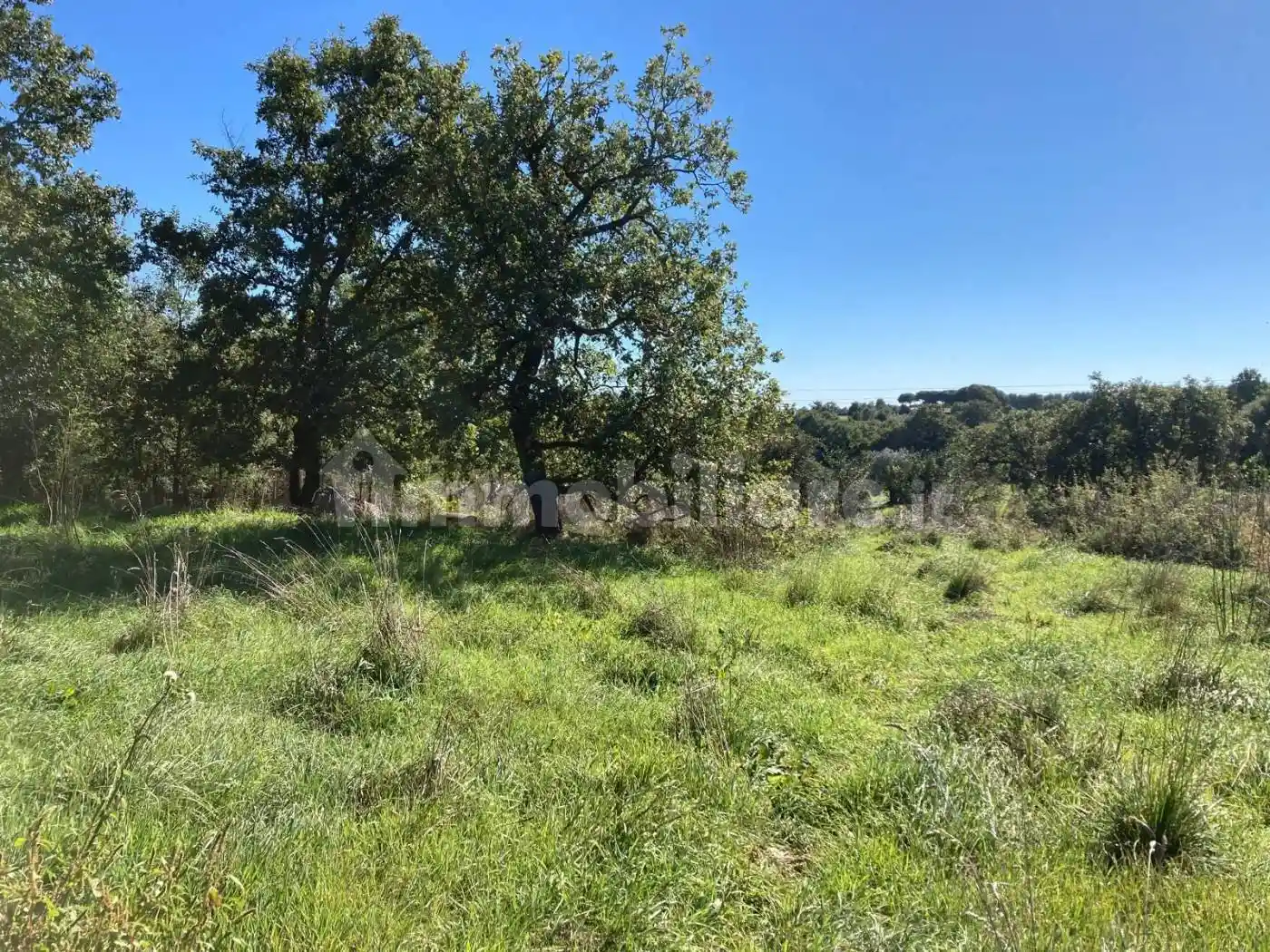 Casale Località Pratoleva 3, Teverina, Viterbo - foto 5