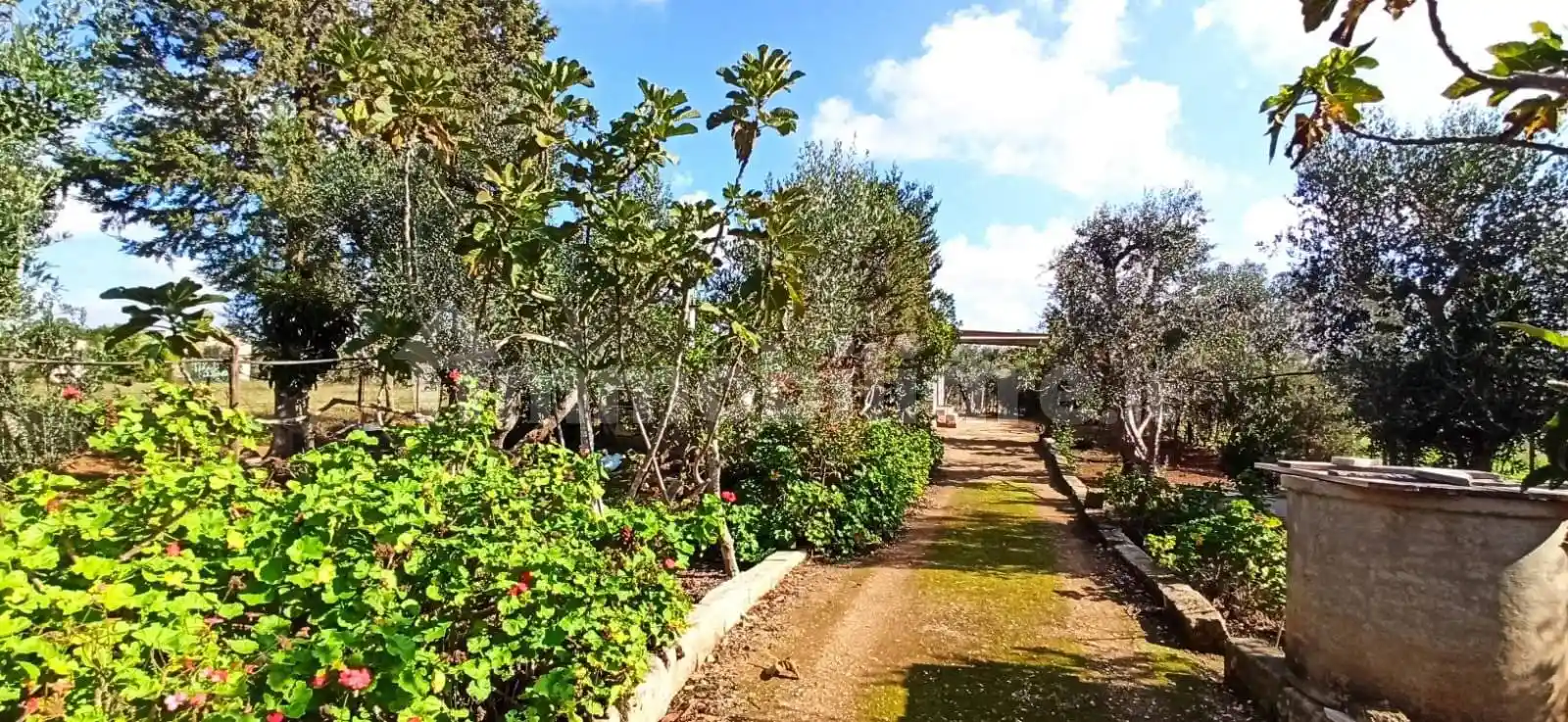 Rustico - Casale in vendita a Oria