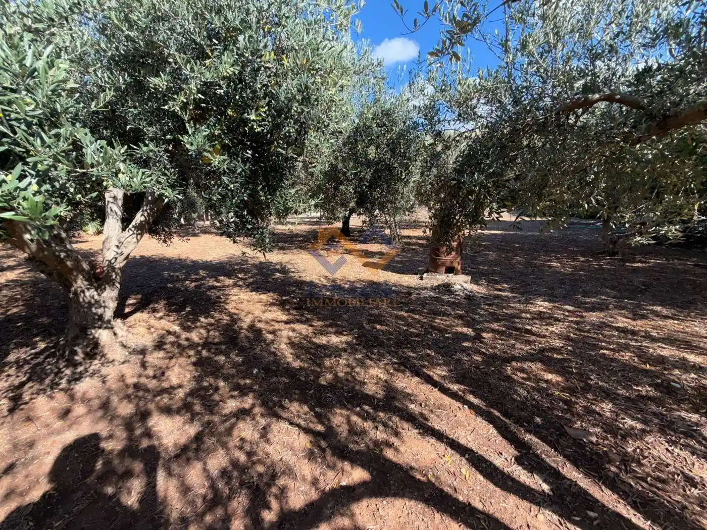 Villa in vendita a Castellammare del Golfo