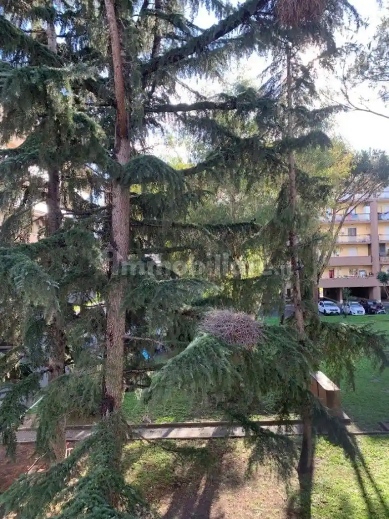 Trilocale via Vincenzo Petra 9, Dragona, Roma - foto 5