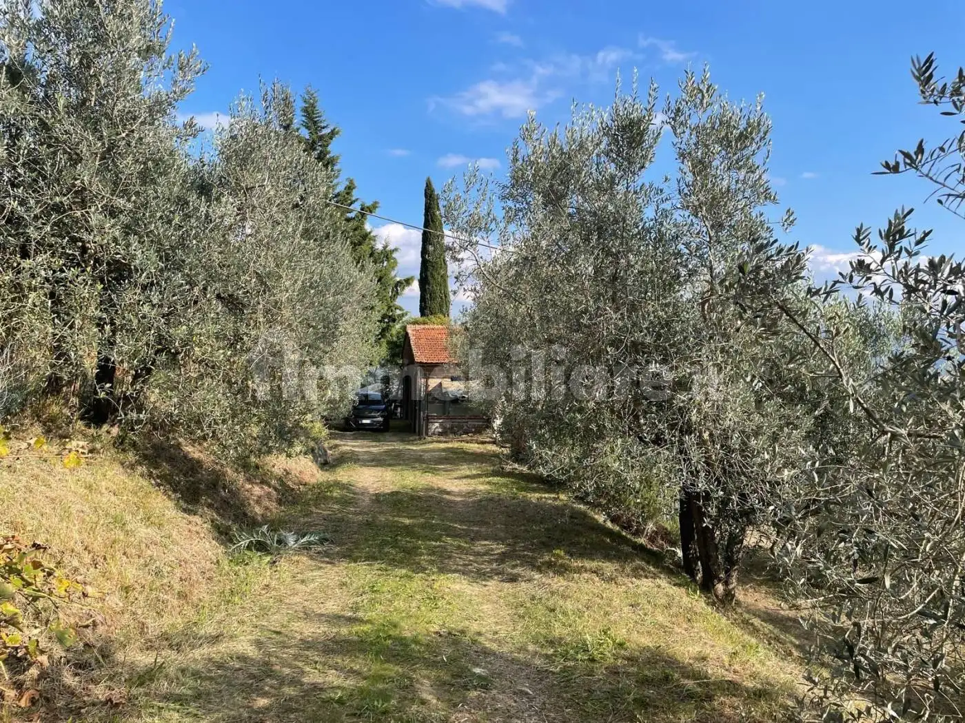 Villa bifamiliare, buono stato, 160 m², Capolona - foto 5