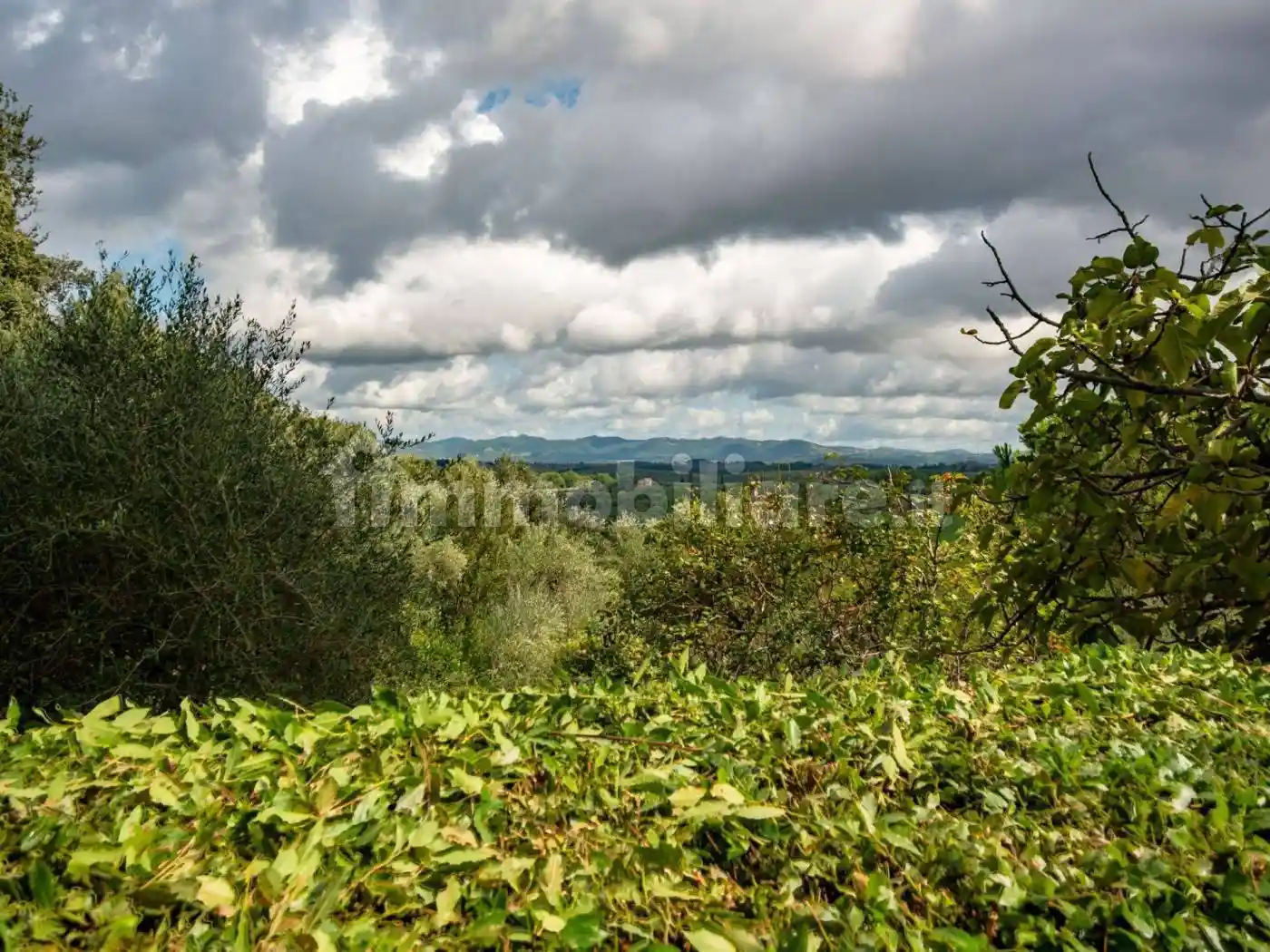 Appartamento in villa, da ristrutturare, 109 m², Le Tolfe - Monteliscai, Siena - foto 5