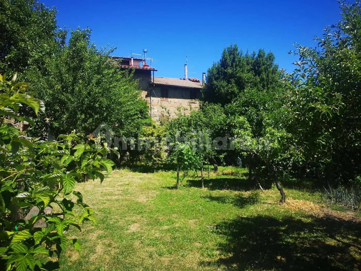 Palazzo - Edificio in vendita a Abbadia San Salvatore