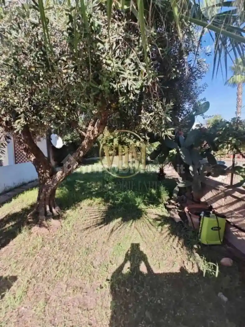 Villa unifamiliare Contrada Berbaro No Number, Casabianca, Berbaro, Fossarunza, Marsala - foto 4