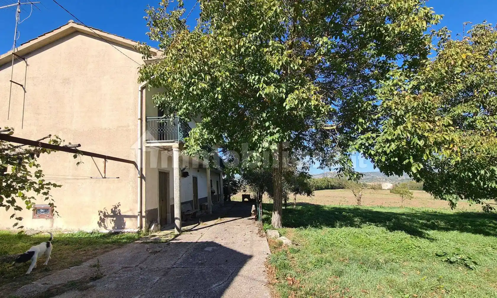 Rustico - Casale in vendita a Nusco