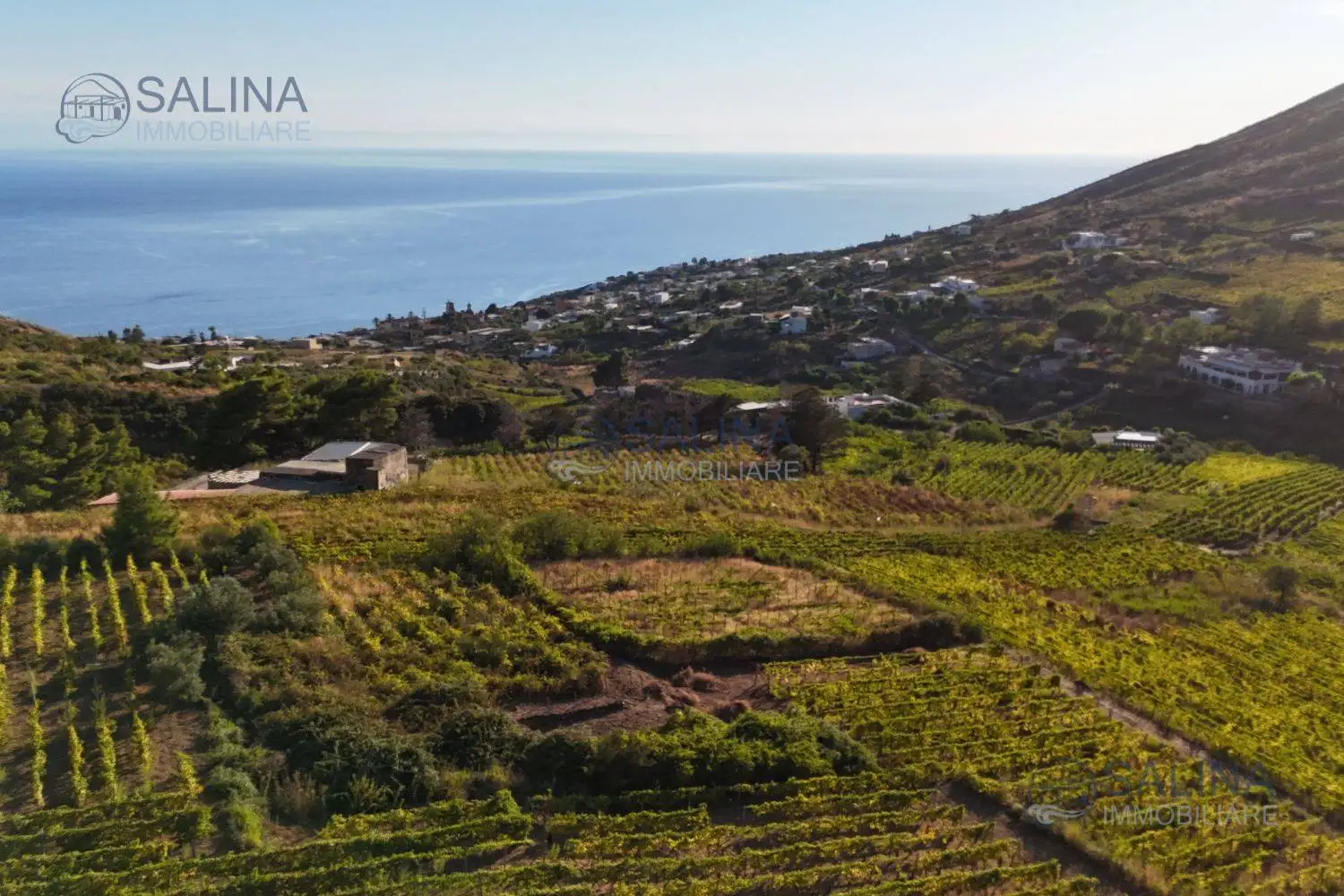 Rustico - Casale in vendita a Leni