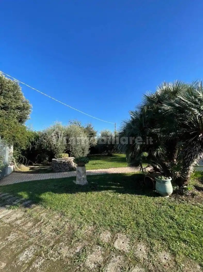 Terratetto plurifamiliare Strada Brucia, Braccagni, Grosseto - foto 3