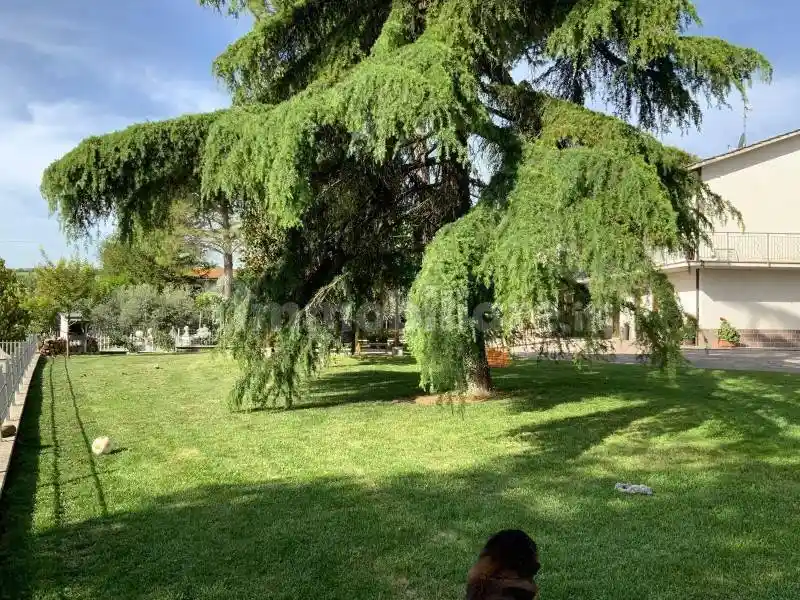 Villa unifamiliare, ottimo stato, 440 m², Via Roma - Asse Sud, Jesi - foto 5