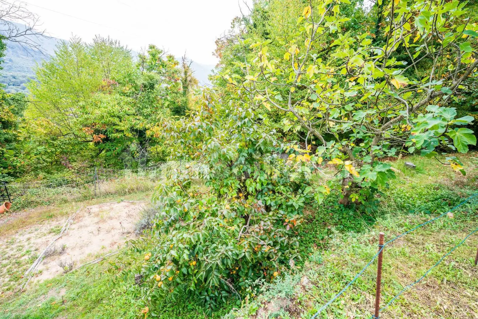 Villa unifamiliare Strada Ravin, Ceriana - foto 2