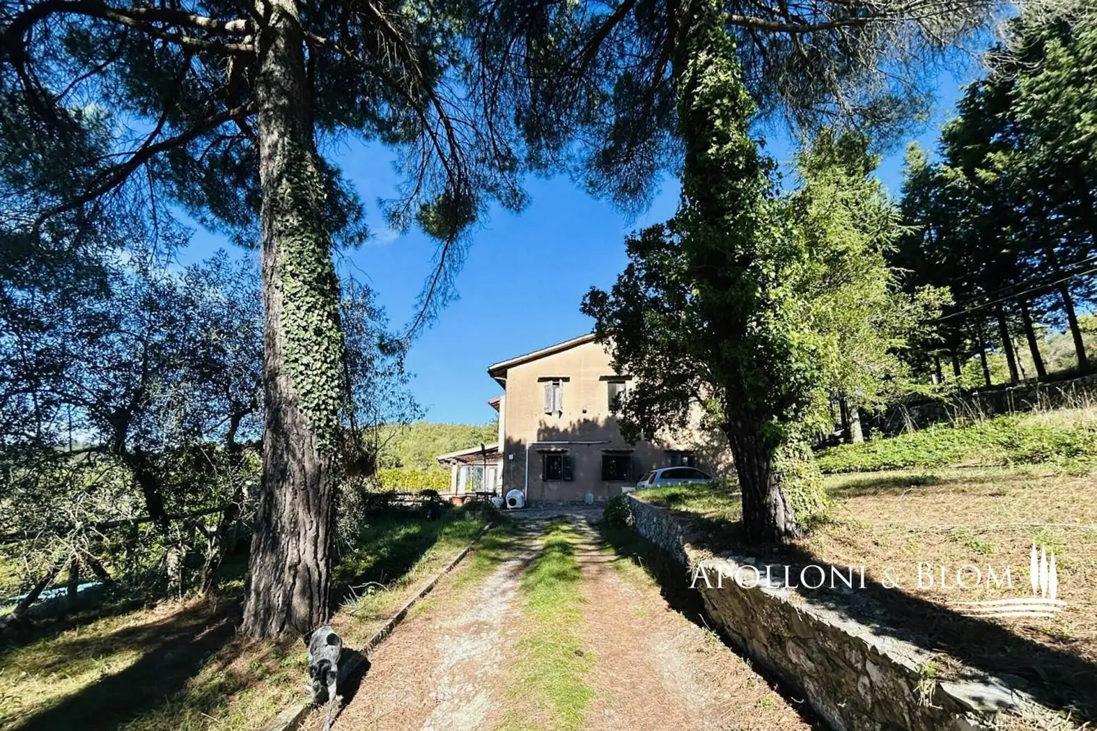 Casale, da ristrutturare, 260 m², Centro, Castellina in Chianti - foto 2