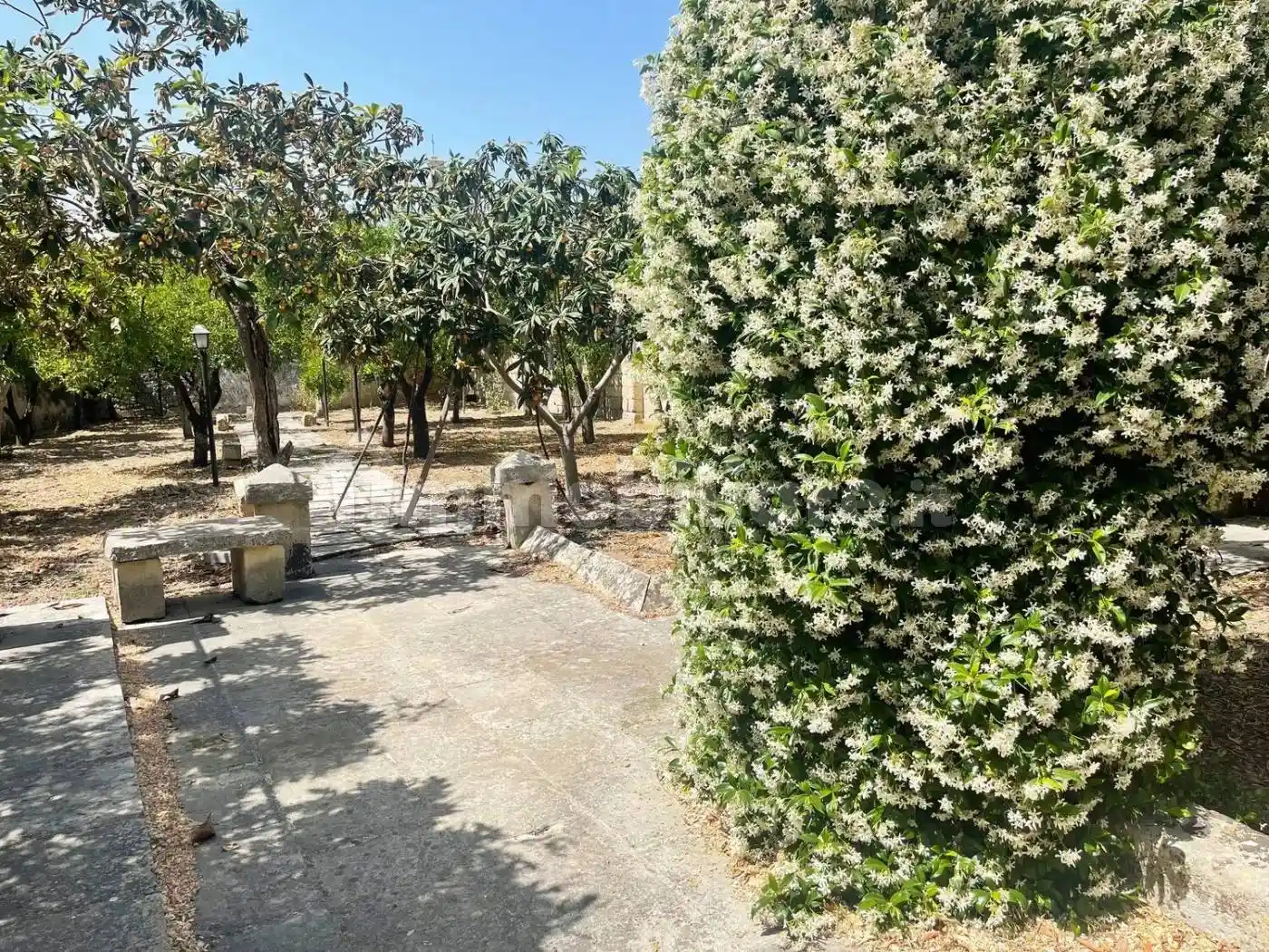 Palazzo - Edificio in vendita a Lizzanello