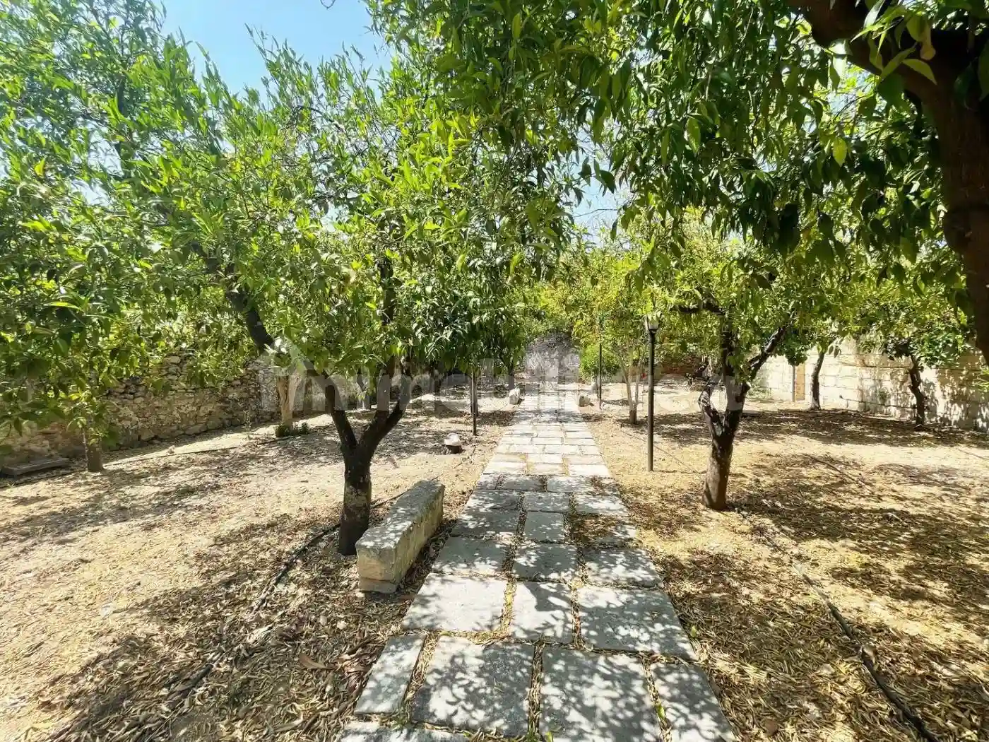 Palazzo - Edificio - foto 5