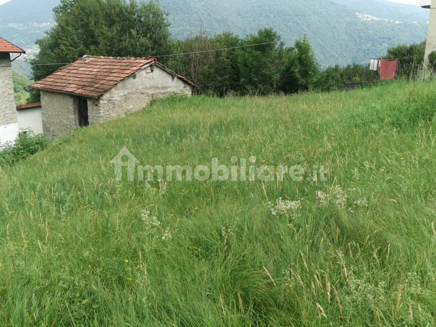 Rustico - Casale in vendita a Schignano