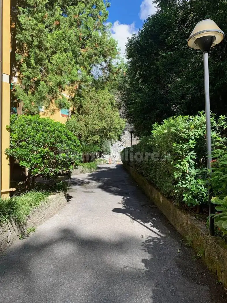 Trilocale via Guglielmo Marconi, Centro, Bogliasco - foto 4