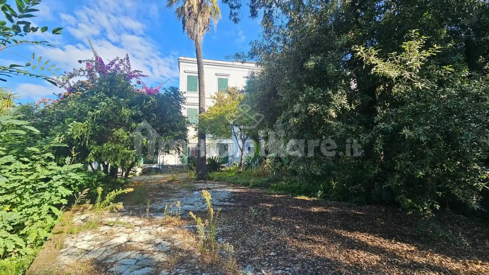 Palazzo - Edificio - foto 3