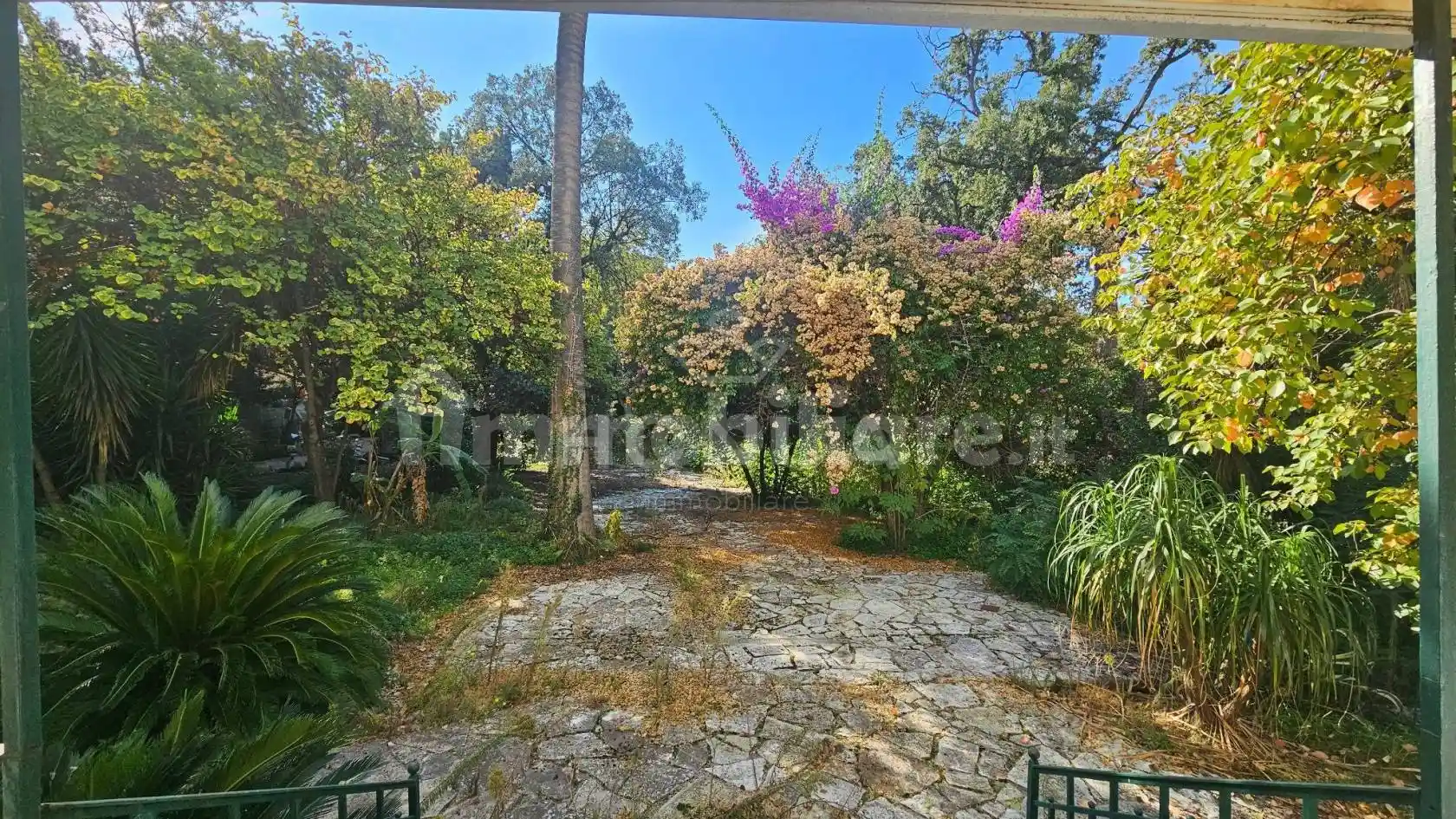 Palazzo - Edificio - foto 4