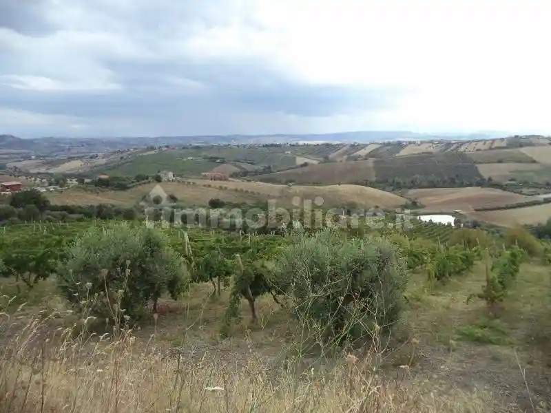 Villa unifamiliare, da ristrutturare, 450 m², Colonnella - foto 3