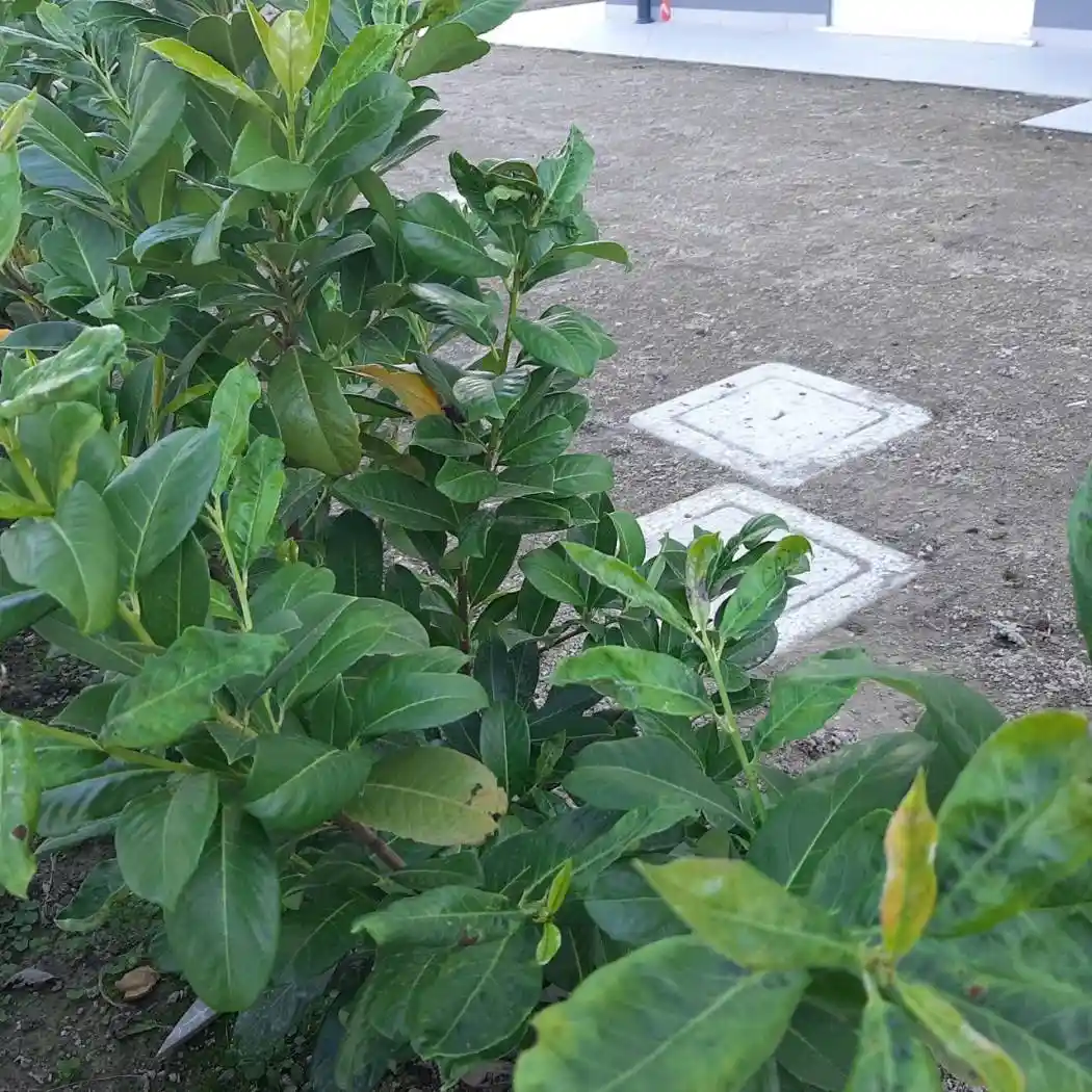 Quadrilocale via F. Lori, Madonna Pellegrina, Padova - foto 2