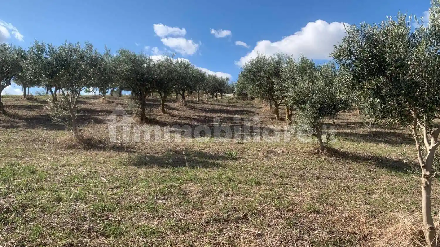 Casa indipendente in vendita a Valderice