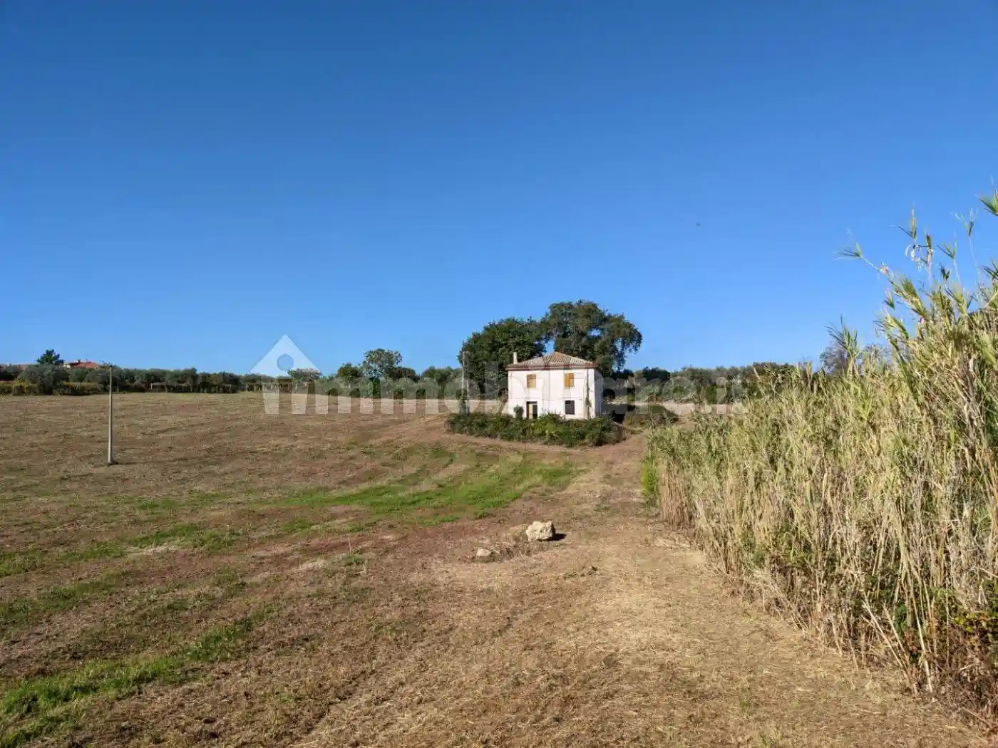 Casale Contrada Santa Liberata, Ortona - foto 3