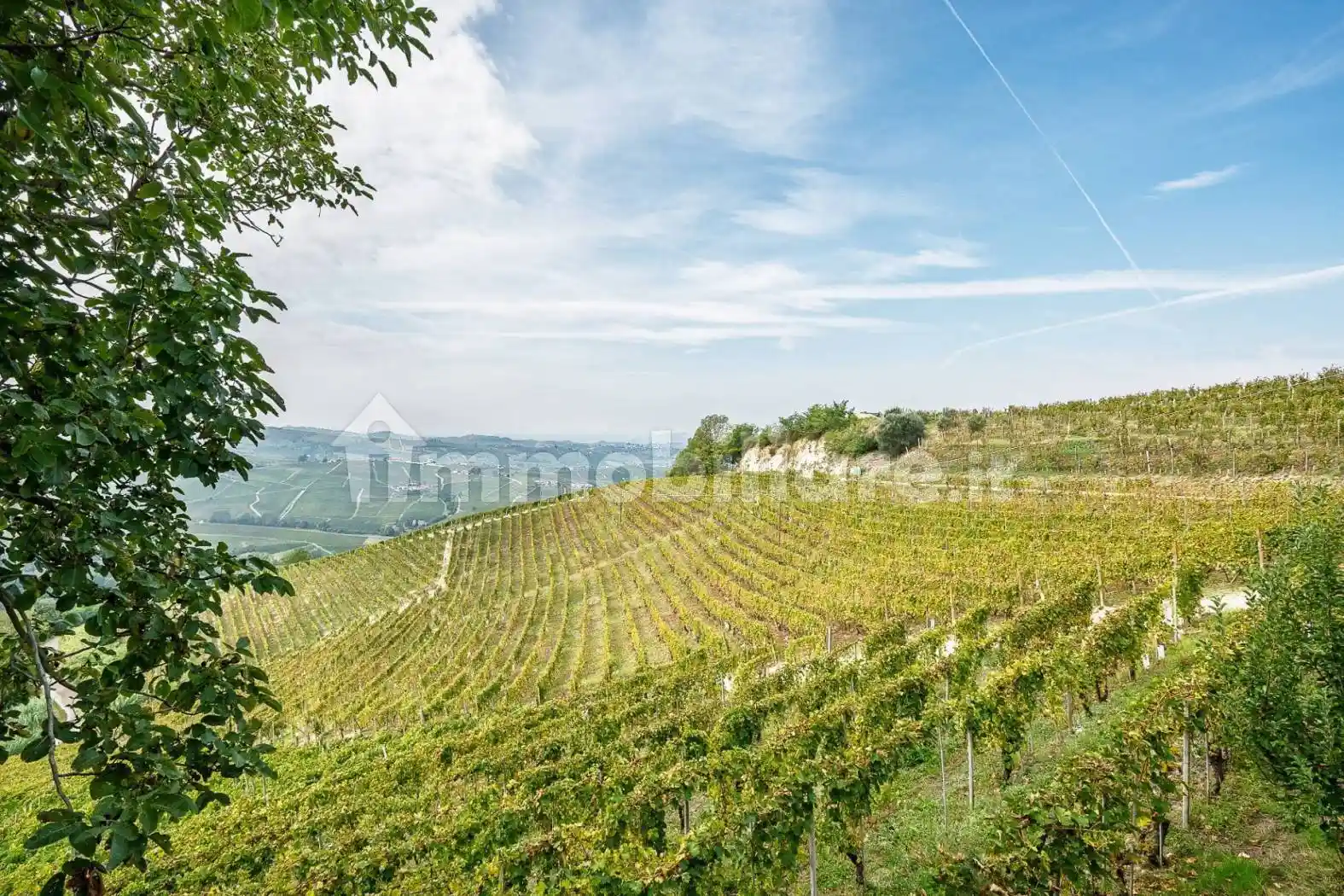 Terratetto unifamiliare Strada Brosia 15, Castiglione Tinella - foto 4