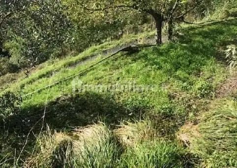 Appartamento in asta a Borzonasca