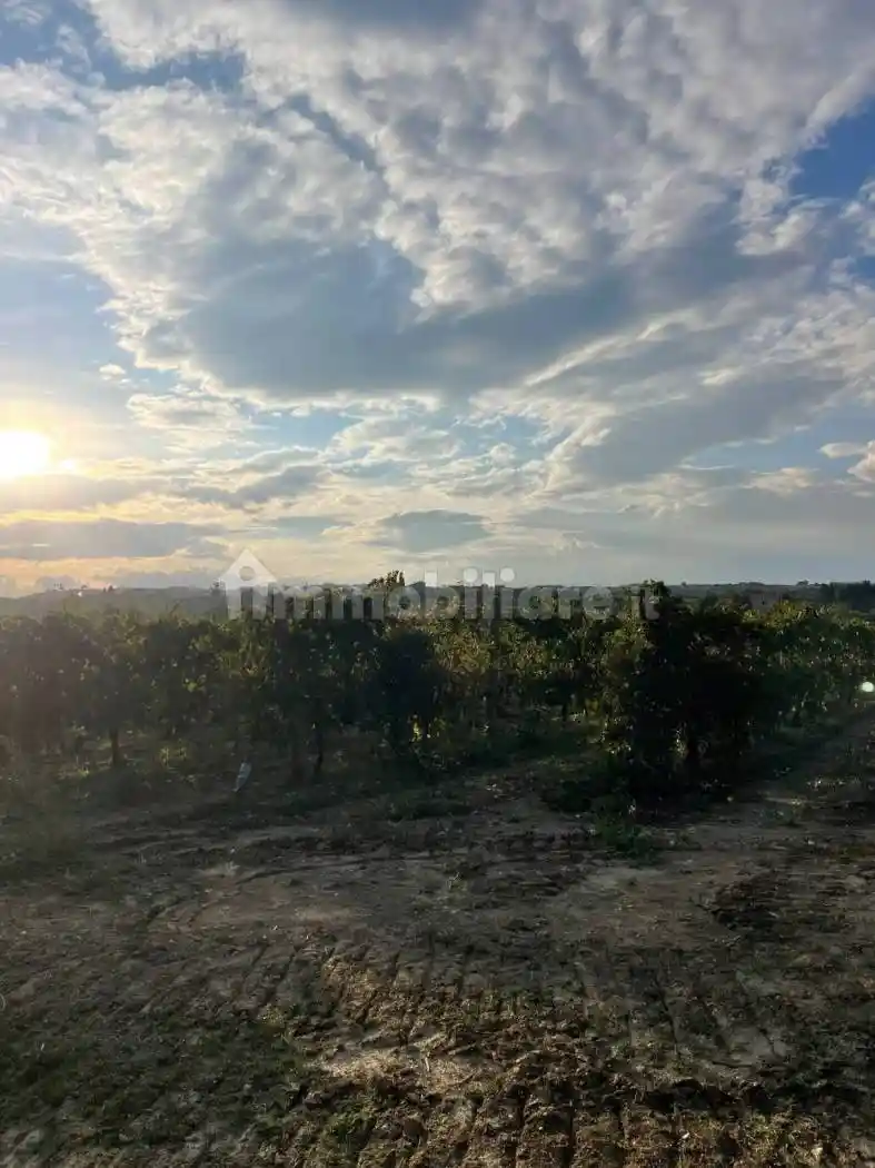 Rustico Contrada Sant'andrea, Cupra Marittima - foto 4