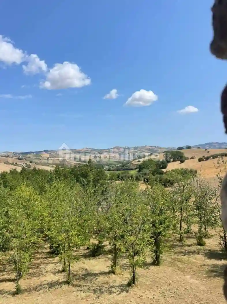 Rustico, nuovo, 250 m², Castignano - foto 4