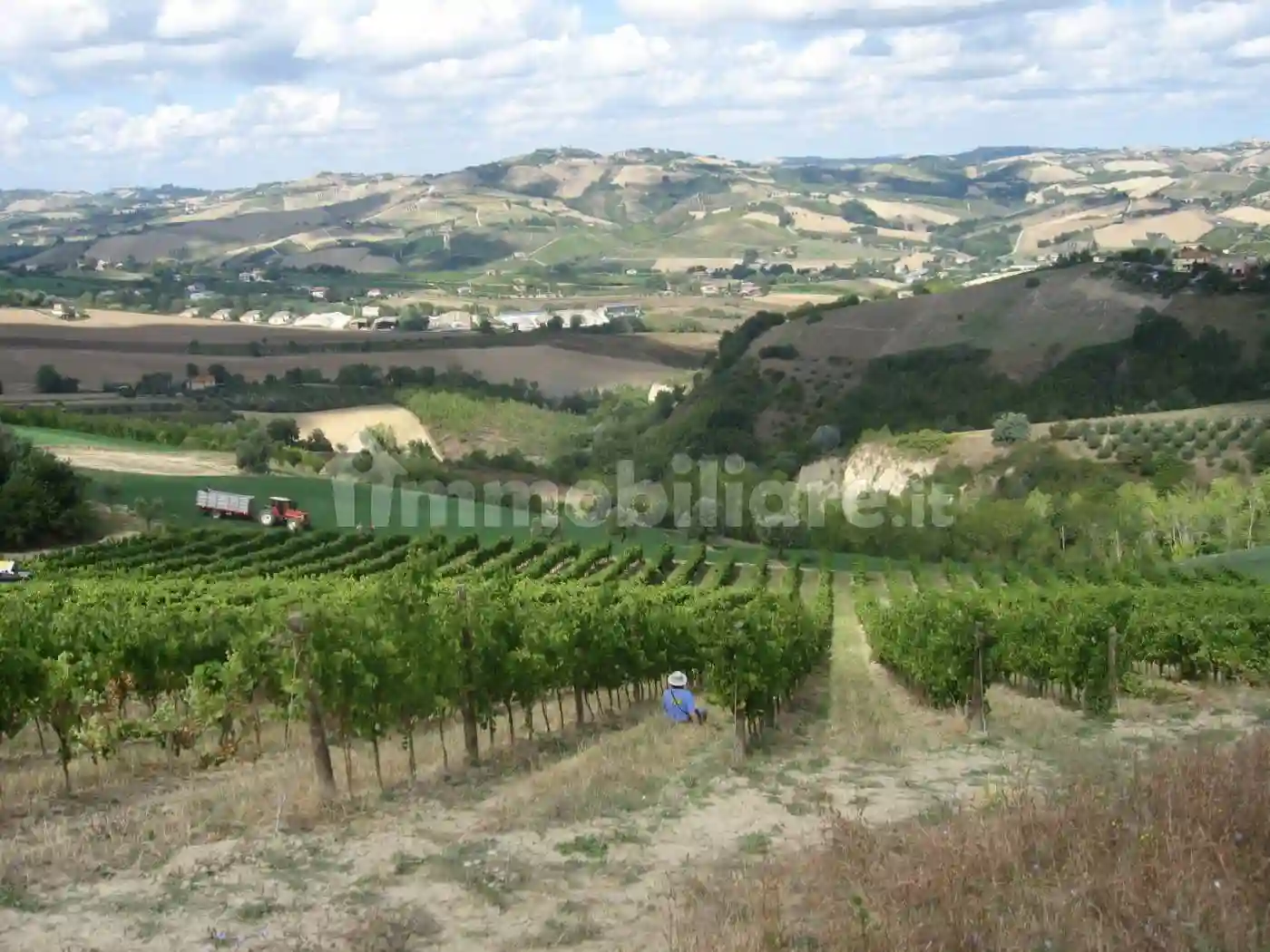 Rustico - Casale - foto 5