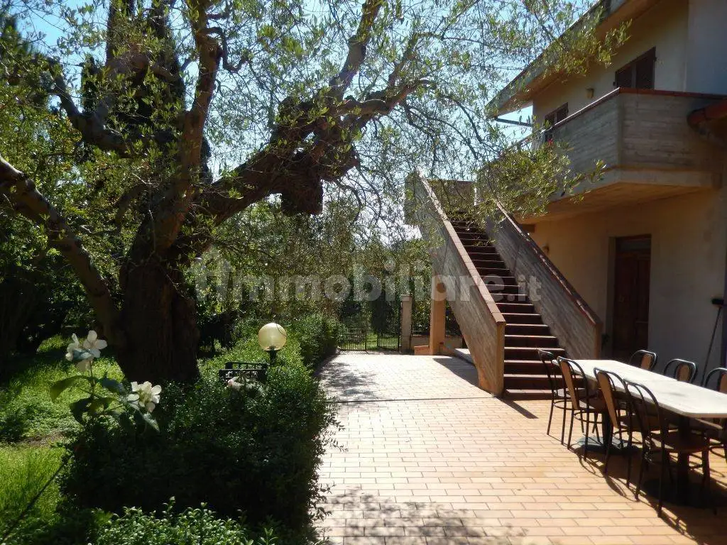 Rustico, buono stato, 160 m², Controguerra - foto 5