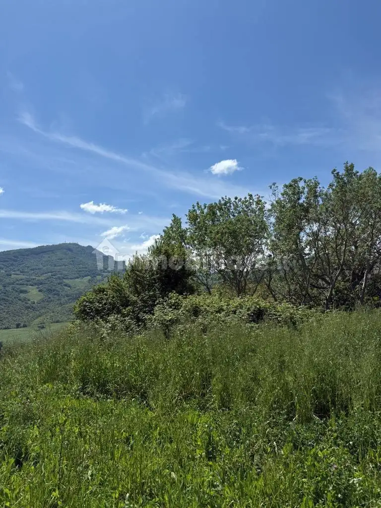 Rustico - Casale in vendita a Rotella