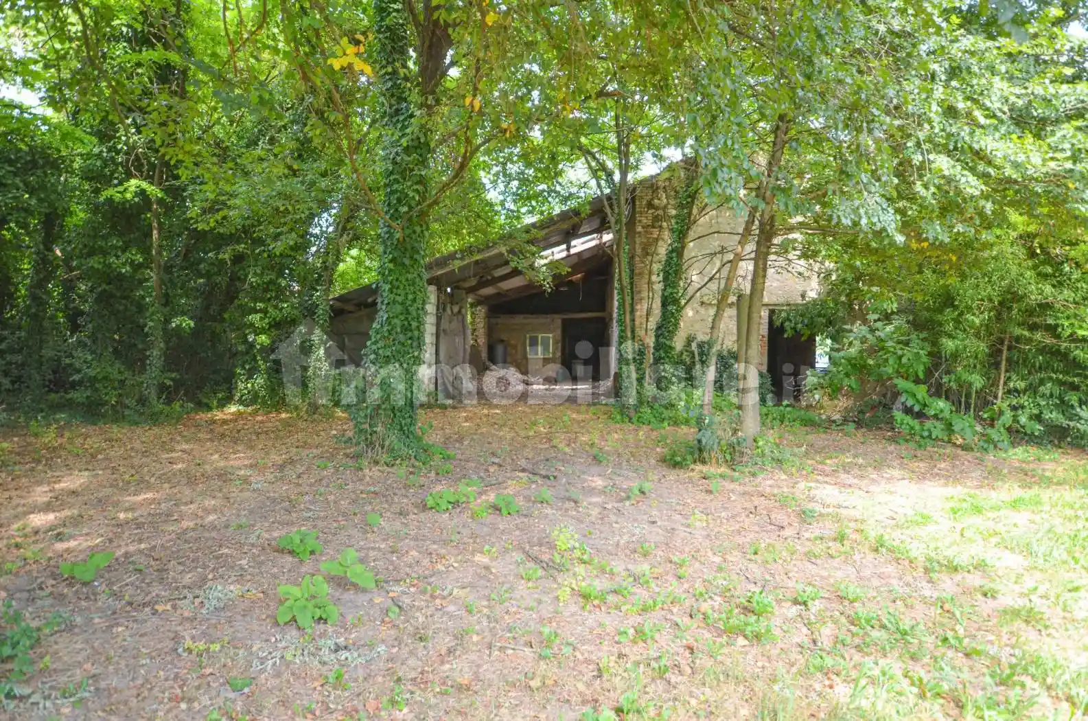 Rustico via Mezzana, Barbarano Mossano - foto 5