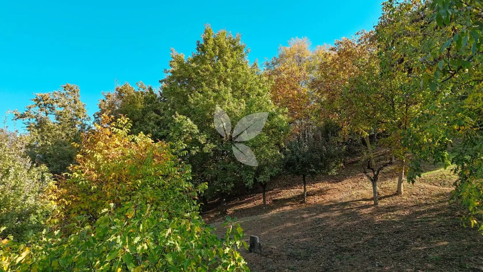 Villa unifamiliare via Pozzo, Vigolo Marchese, Castell'Arquato - foto 4