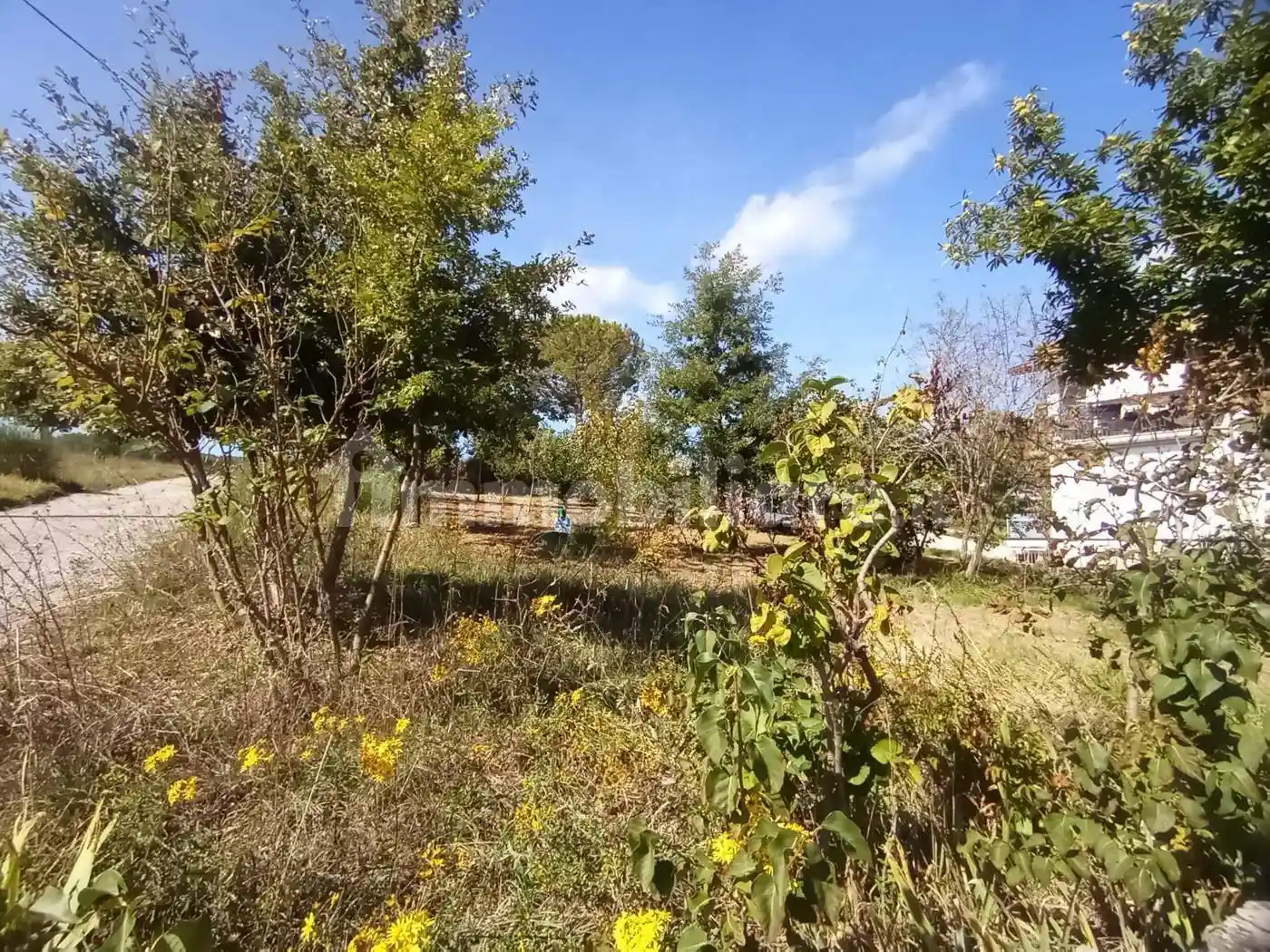 Terratetto unifamiliare c.da Colle Longo superiore, snc, Selva Piana, Tappino, Campobasso - foto 4