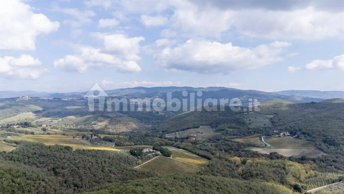 Rustico, ottimo stato, 1100 m², Castellina in Chianti - foto 5