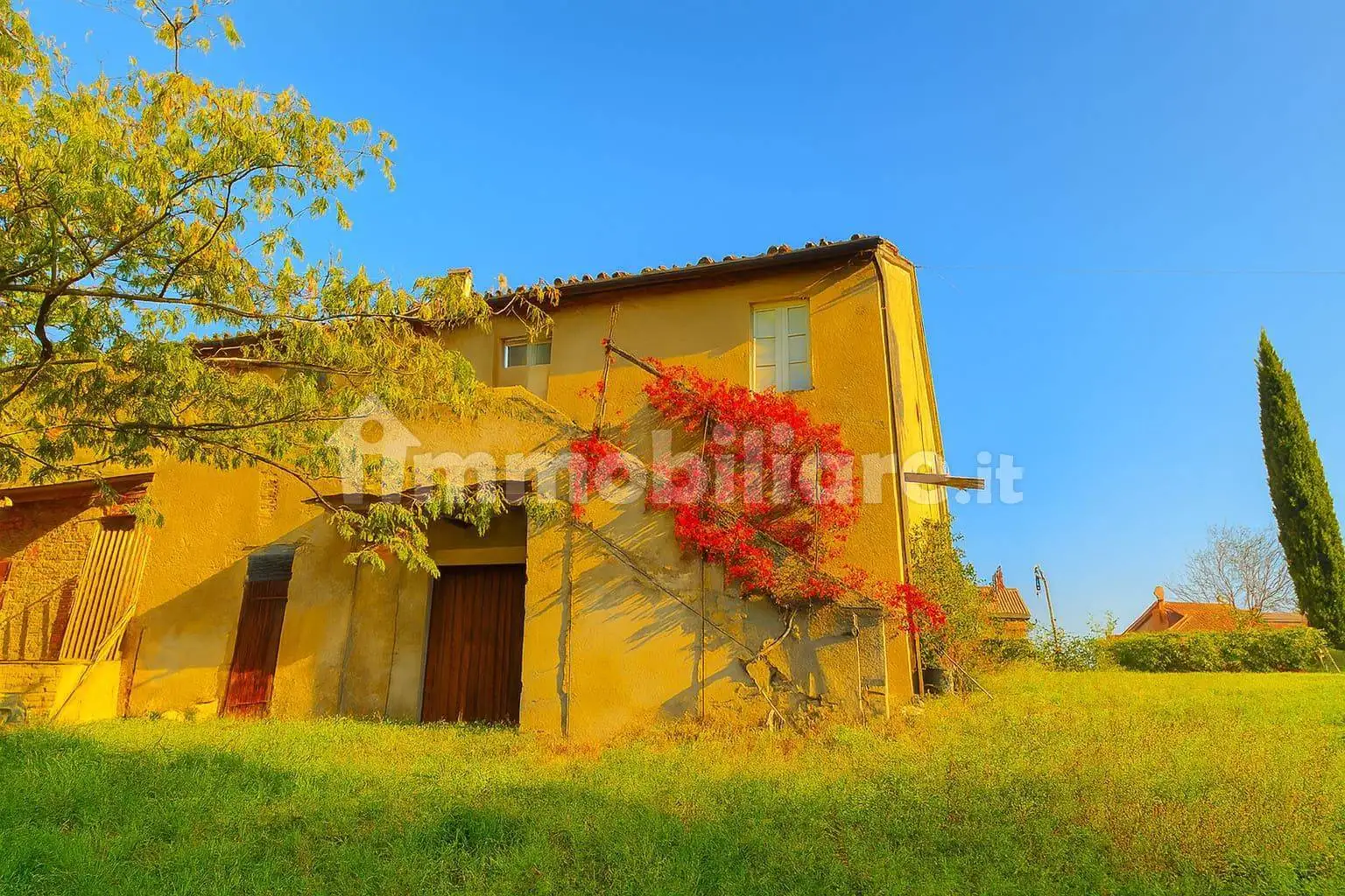 Rustico - Casale in vendita a Staffolo