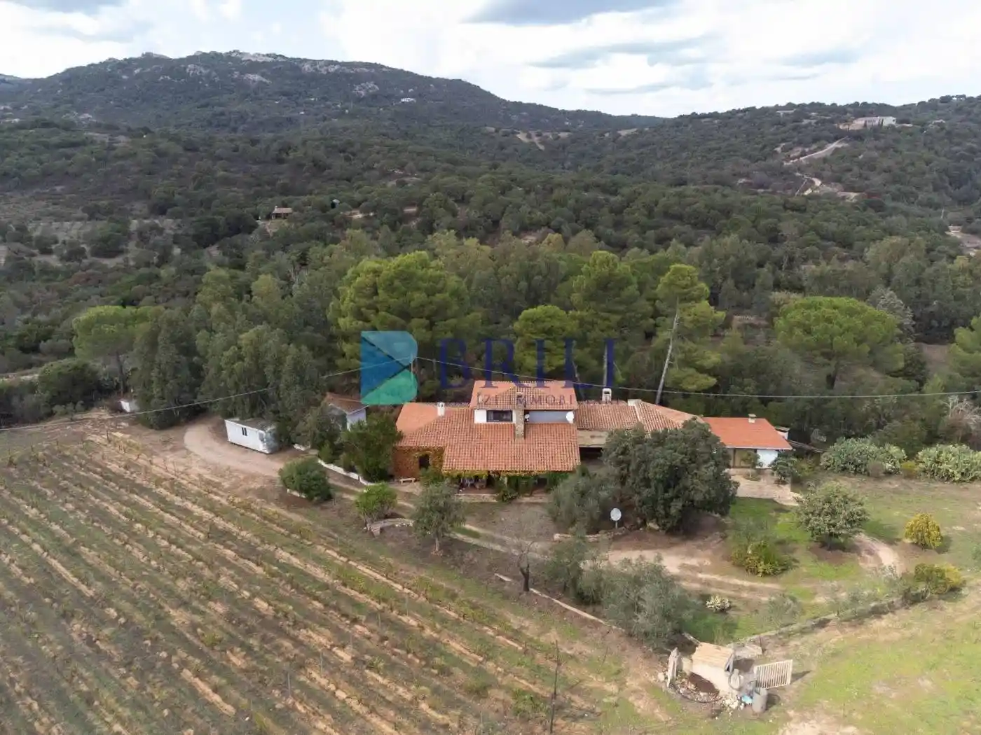 Villa unifamiliare Località Macciuccatu Olbia, San Giovanni, Sole Ruiu, Olbia - foto 4