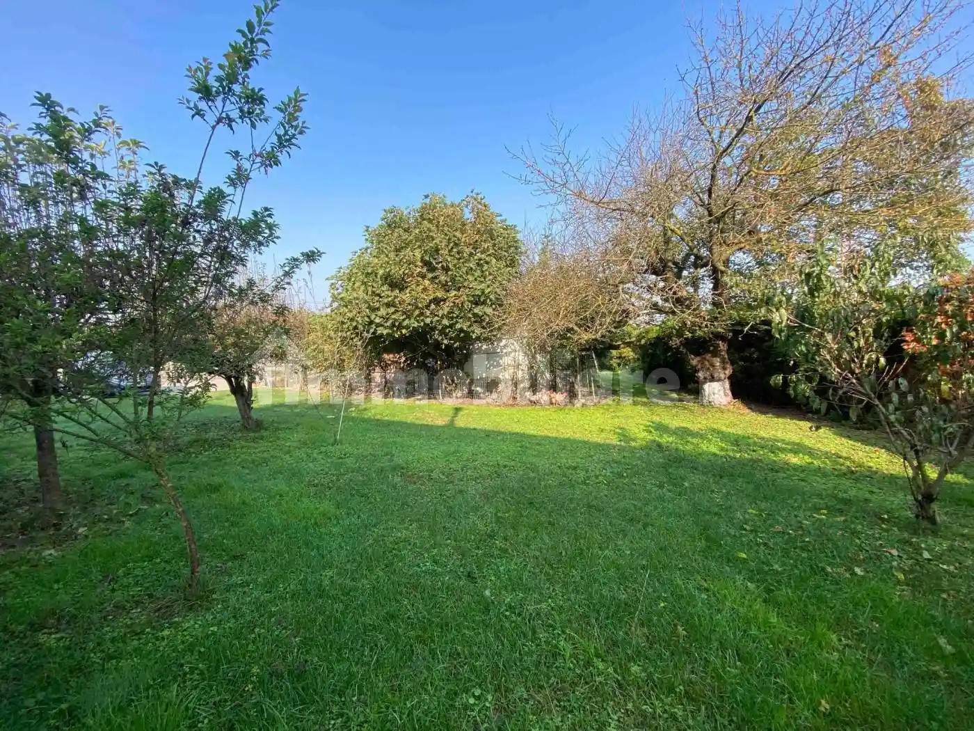 Terratetto unifamiliare via Trento, Borgolavezzaro - foto 4