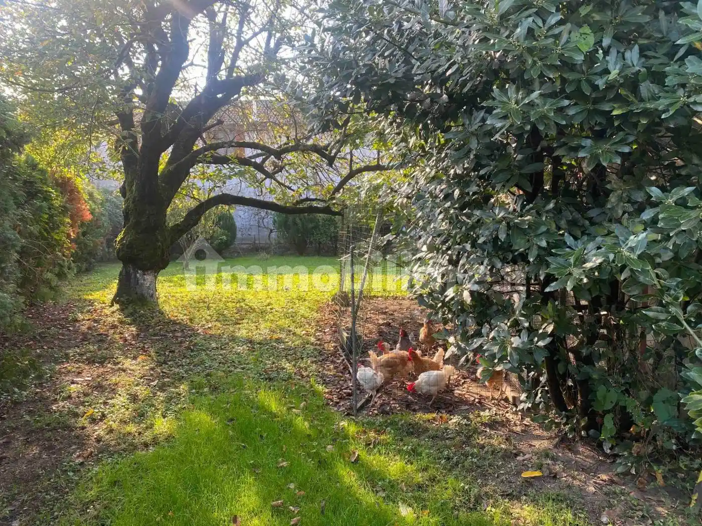 Terratetto unifamiliare via Trento, Borgolavezzaro - foto 5