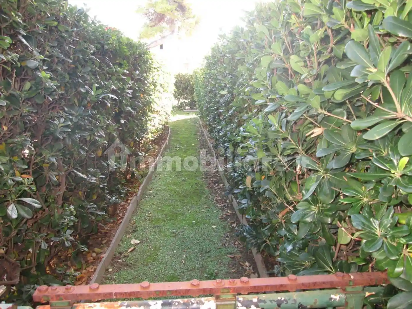 Attico piazza Alcyone 30, San Silvestro Spiaggia, Pescara - foto 2