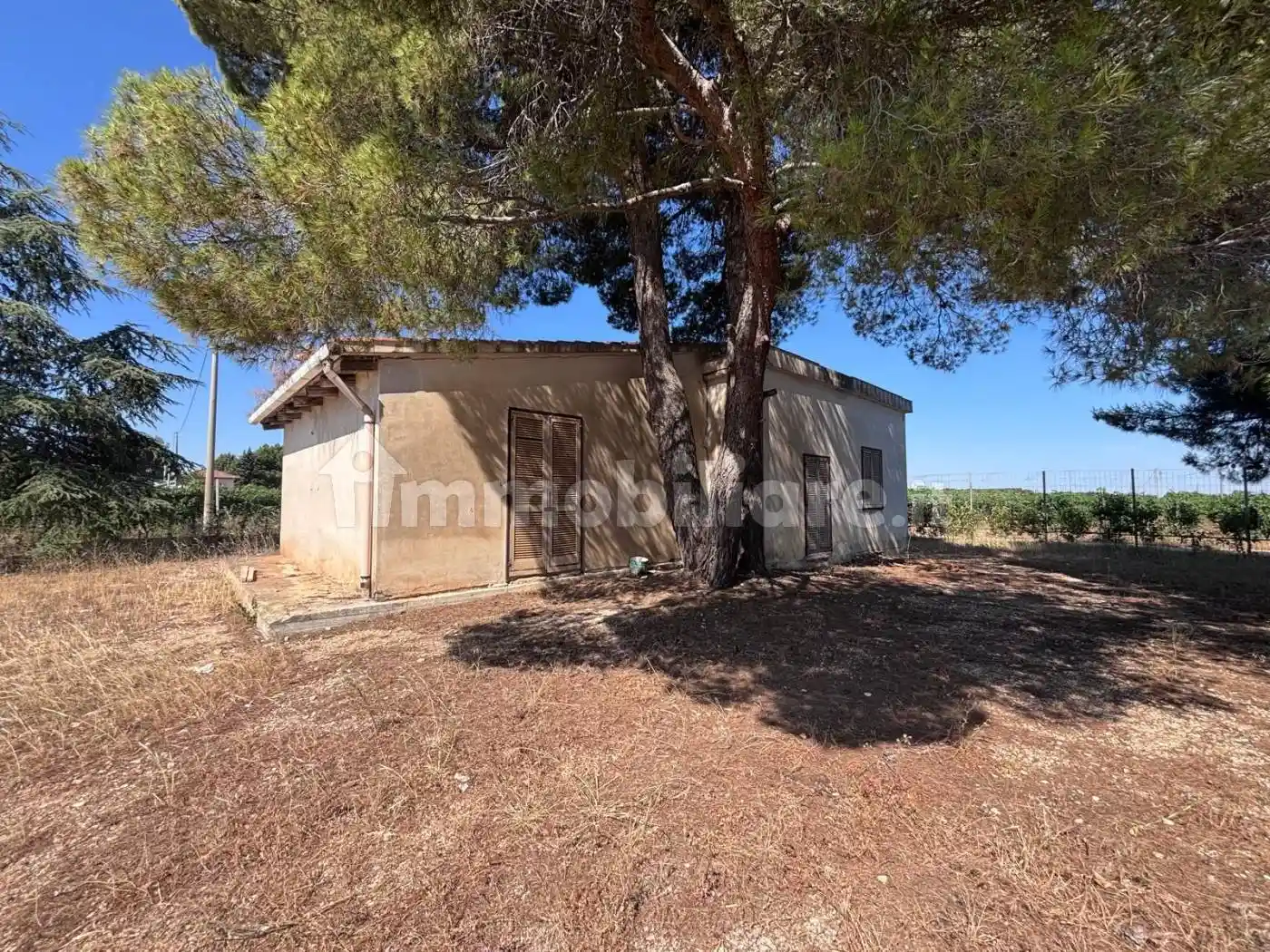 Villa in vendita a Corato