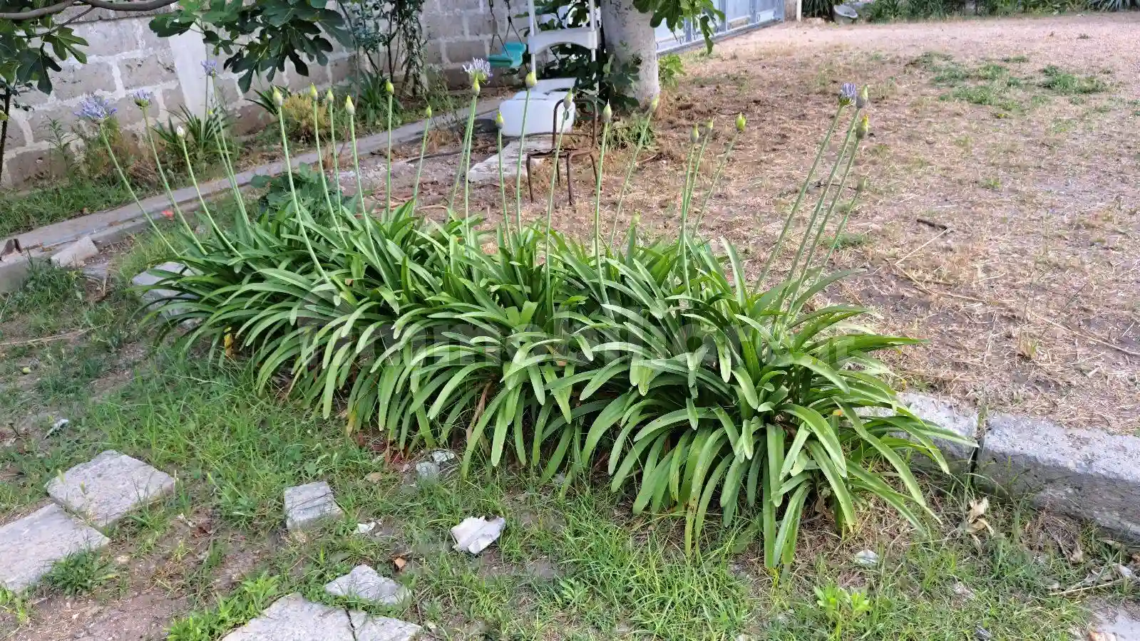 Villa unifamiliare Strada Vicinale Chiusa 143, Cutrofiano - foto 4