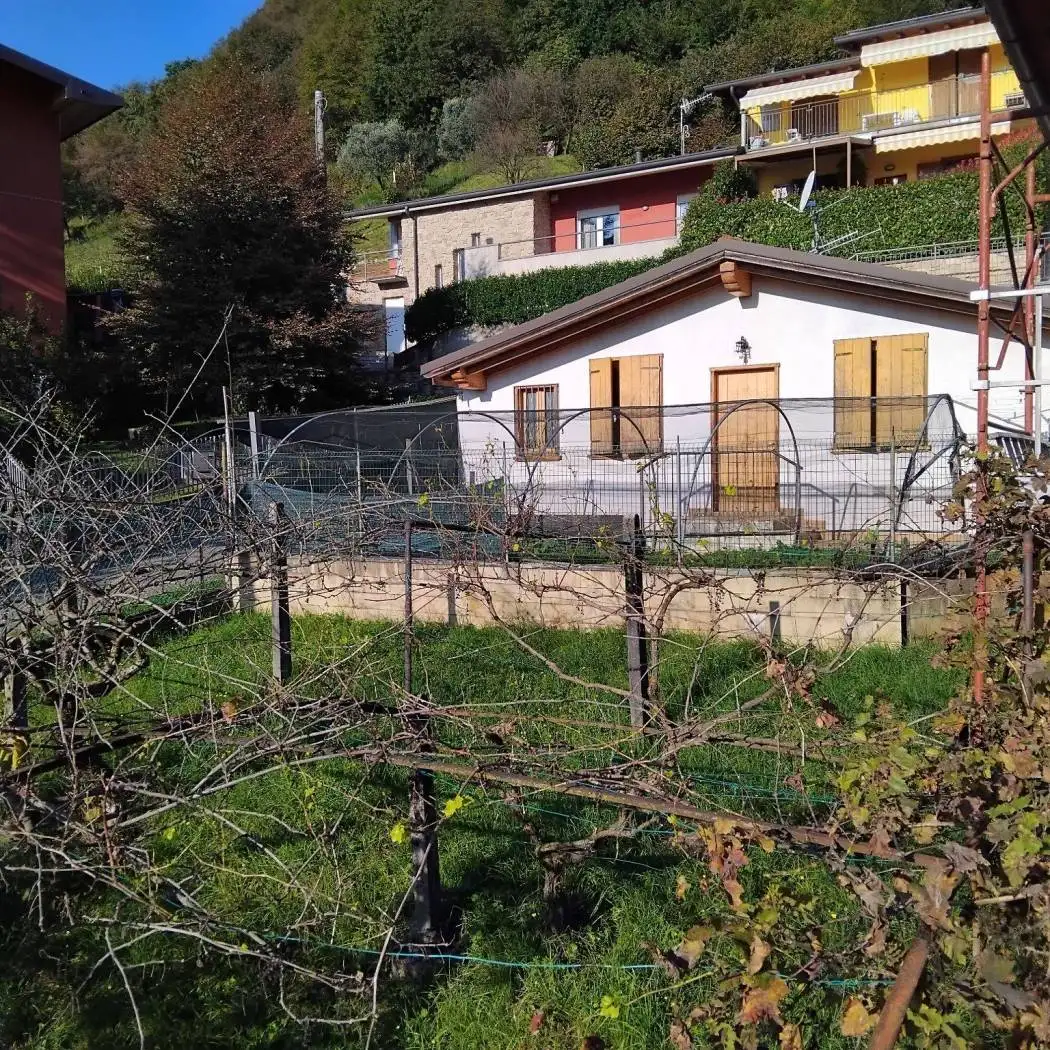 Rustico - Casale in affitto a Albino