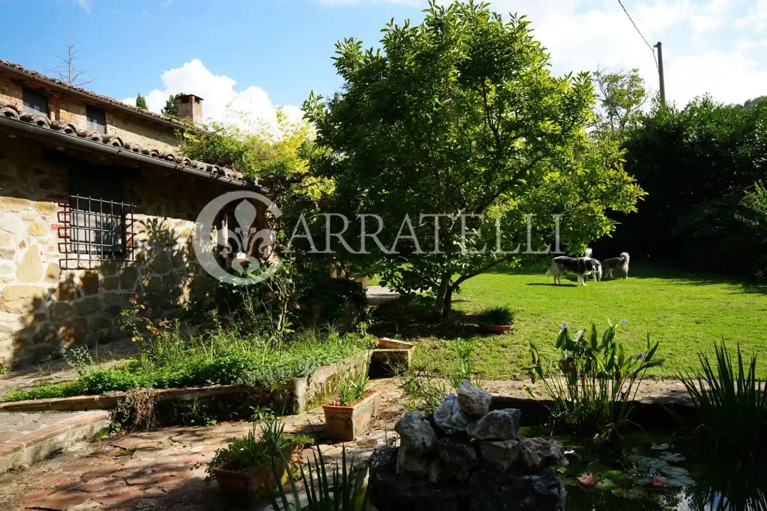 Rustico - Casale - foto 4